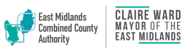 Dual logo &#8211; EMCCA and EMM
