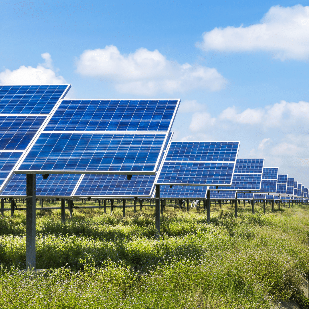 Solar panels in a field