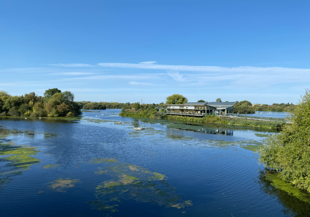 Nature and biodiversity &#8211; Attenborough nature reserve