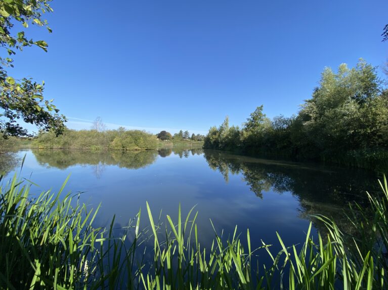 The wetlands at Attenborough Nature Reserve