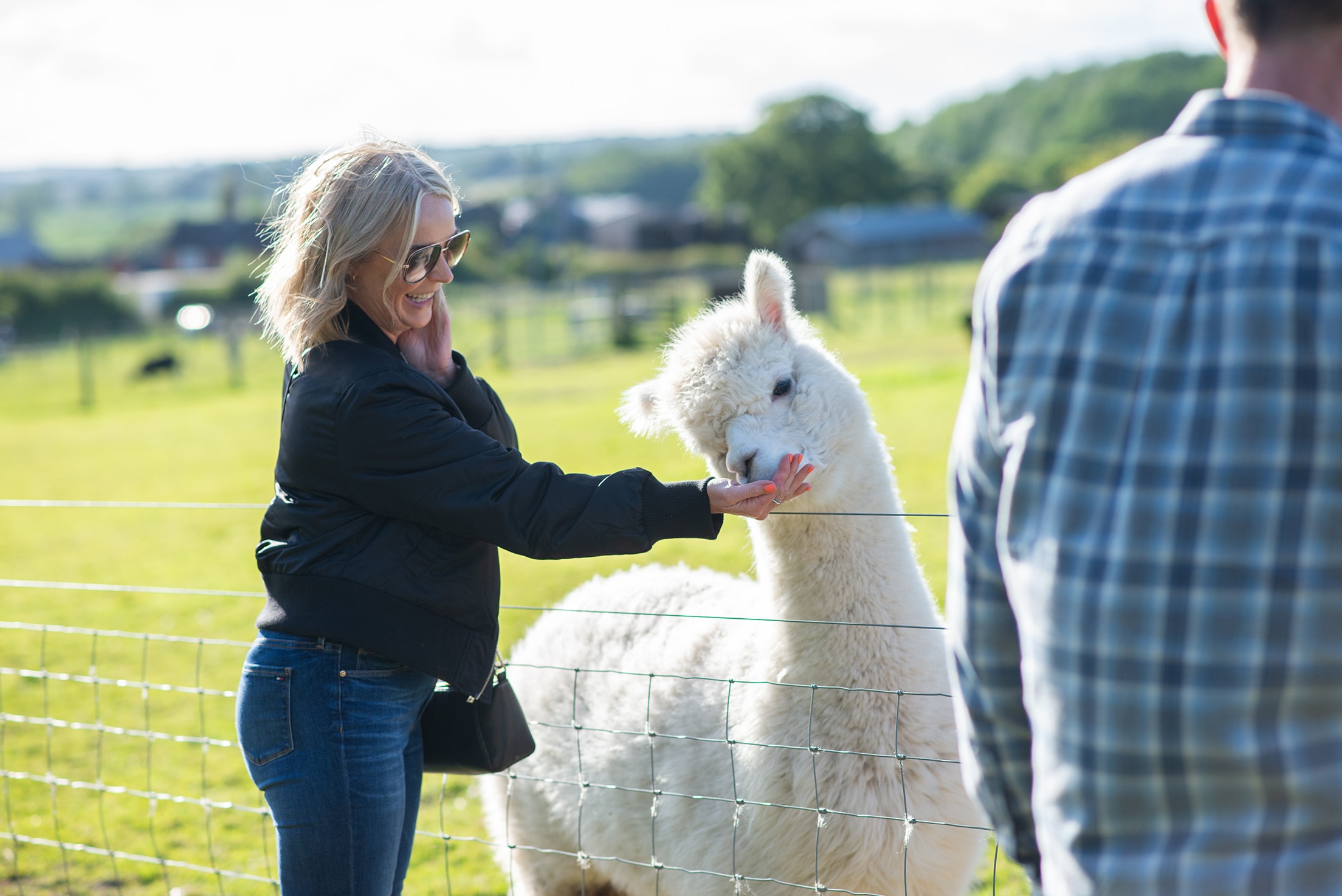Alpacas at Bluebells, Derby credit Visit Derby (1)